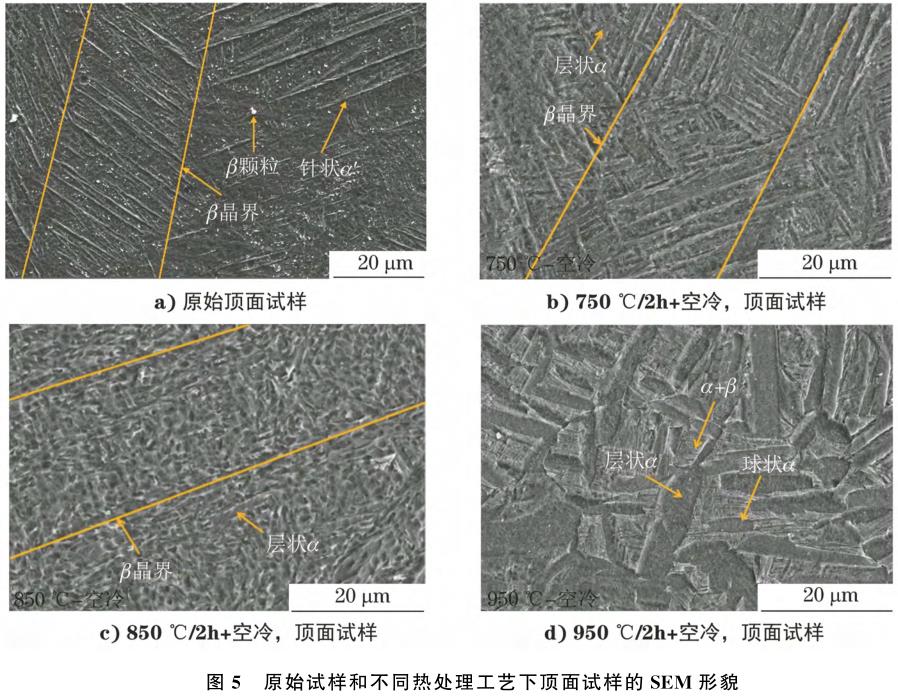 熱處理溫度對選擇性激光熔化TC4鈦合金材料不同成形面組織和性能的影響