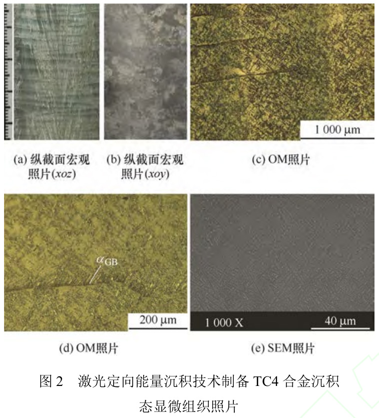 不同熱處理對激光定向能量沉積制造TC4鈦合金鍛件組織和拉伸性能的影響