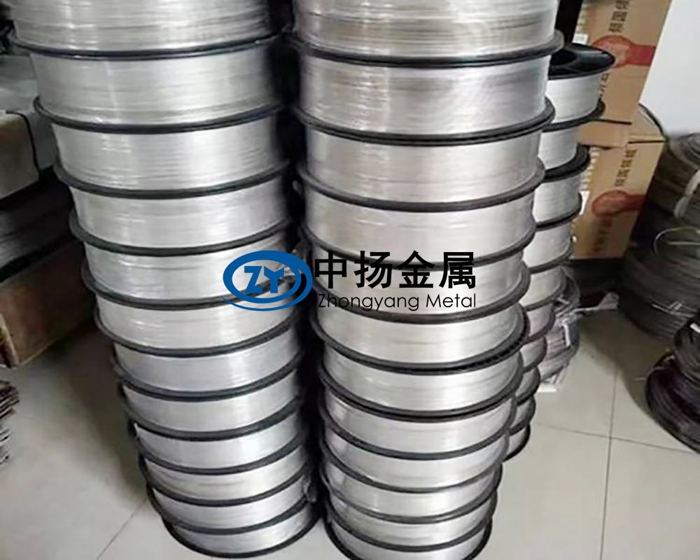 眼鏡頭飾用鈦絲