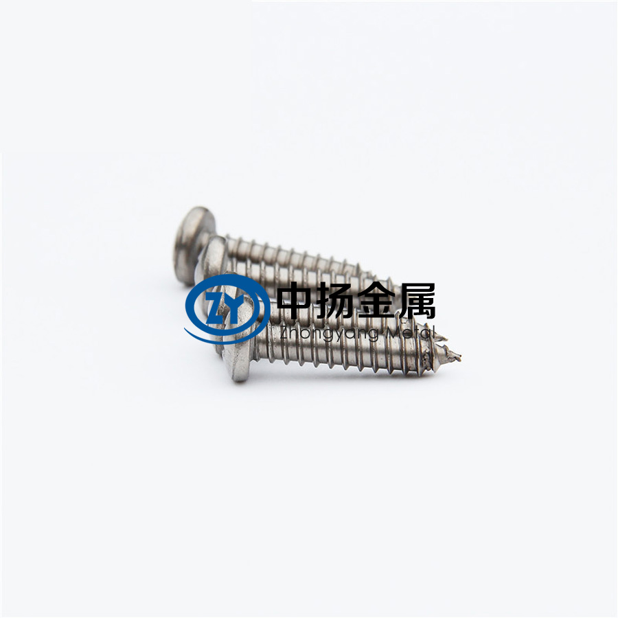 1598910342524203.jpg 鈦螺釘