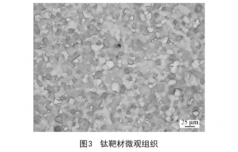 1614519939739276.jpg a6副本.jpg