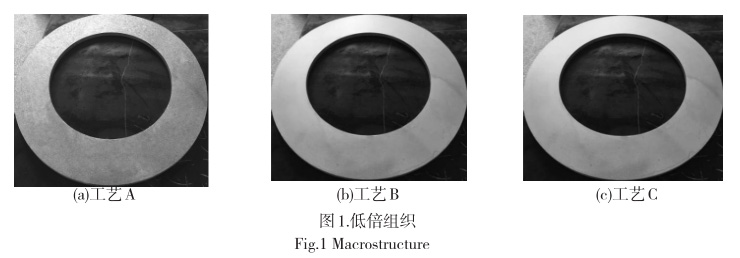 t1.jpg