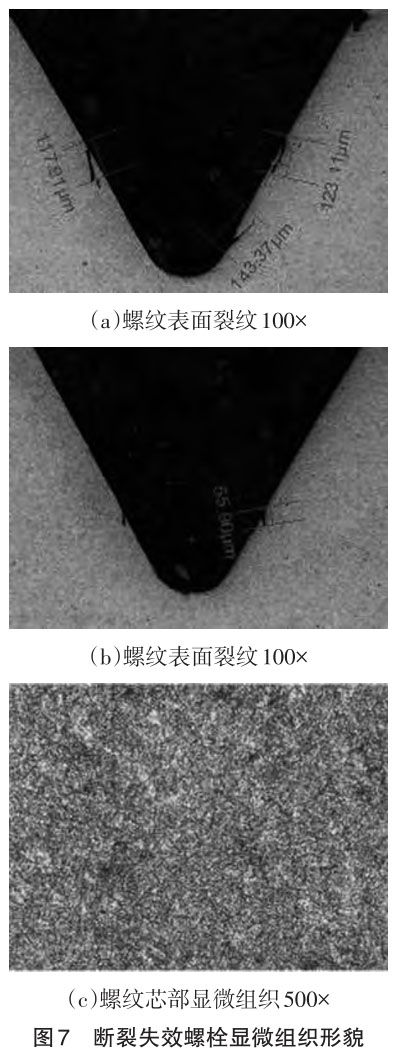 1706021952531132.jpg t7.jpg