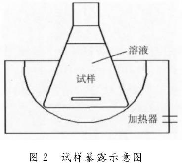 1708509425159642.jpg t2.jpg