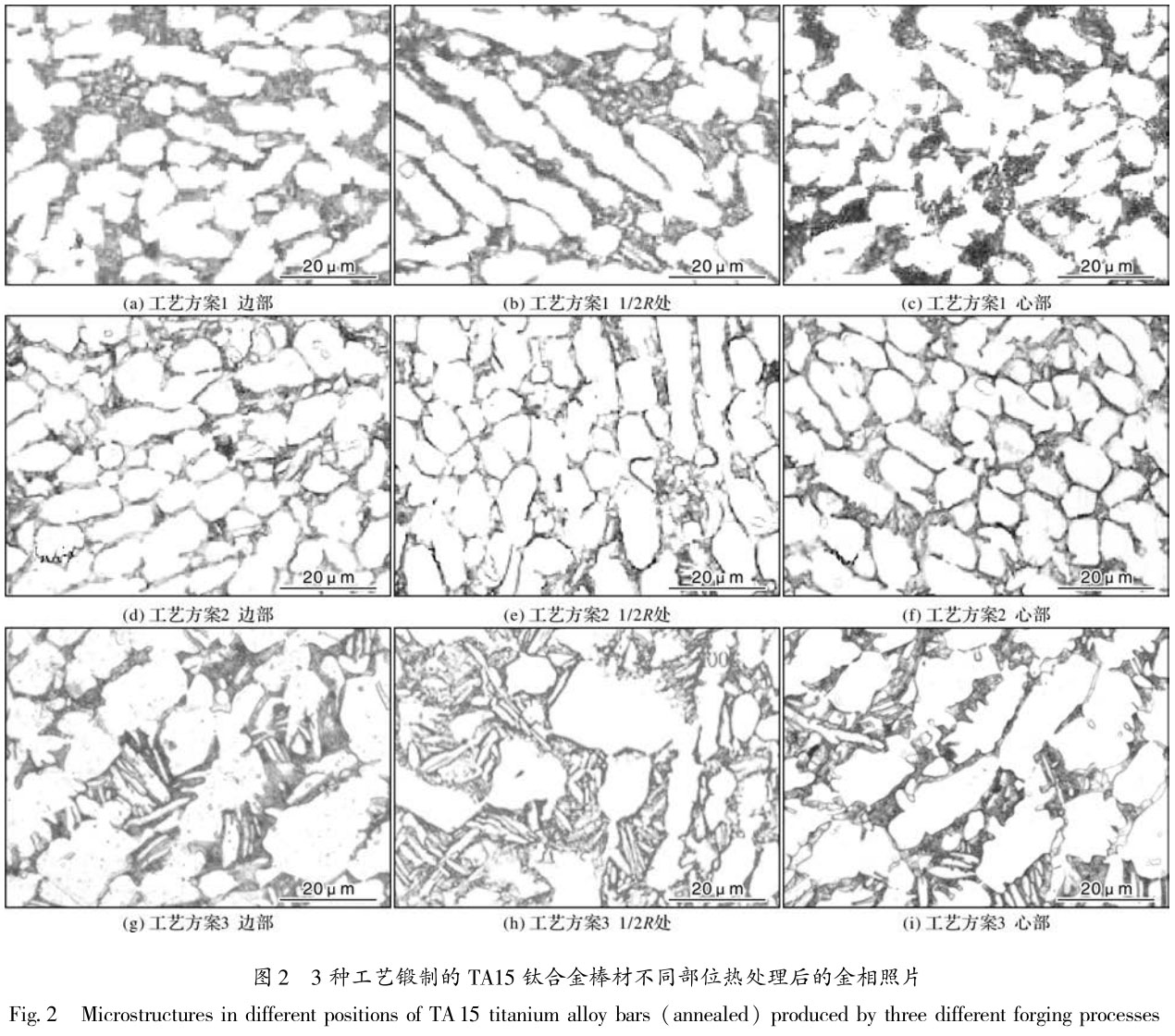 未標(biāo)題-1.jpg
