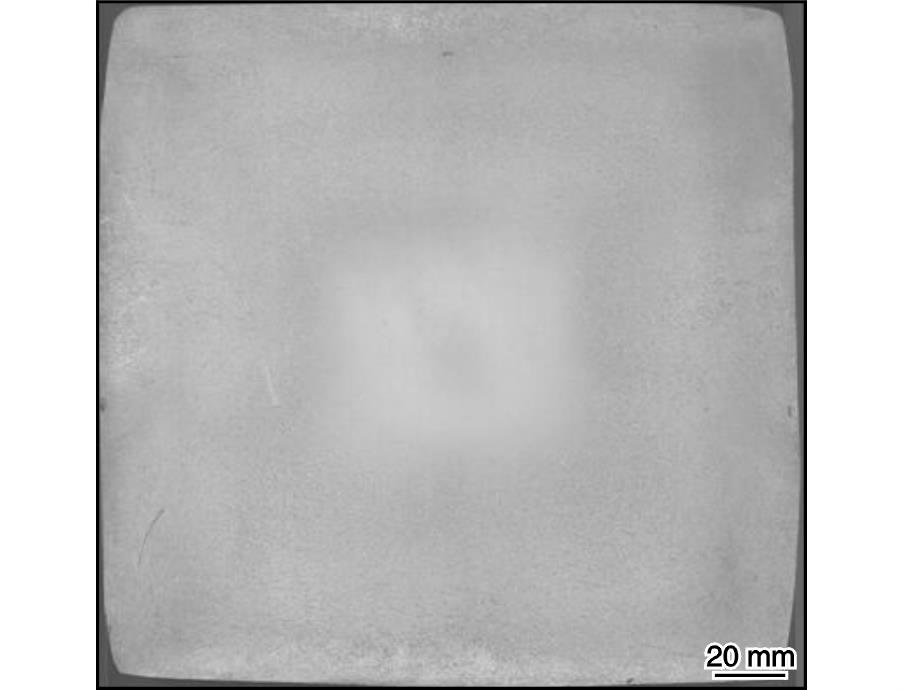 1725092835875570.jpg 2.jpg