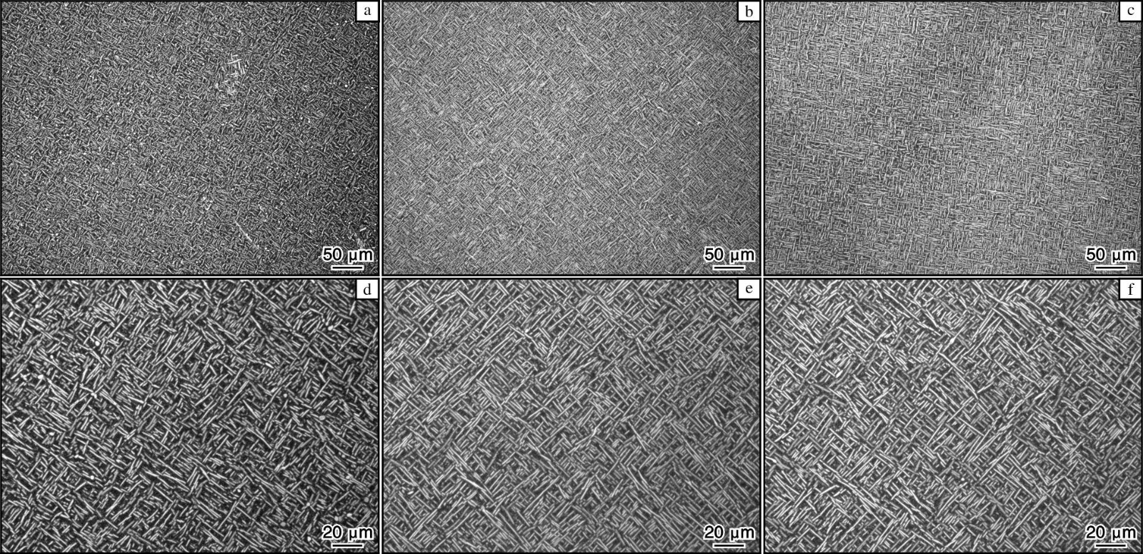1725092901511945.jpg 4.jpg