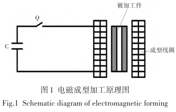 1725111566126275.jpg t1.jpg