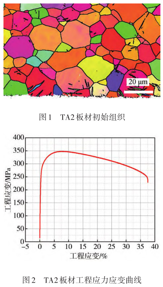 t1-2.jpg