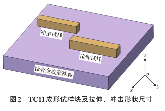 1728957730539454.jpg t2.jpg