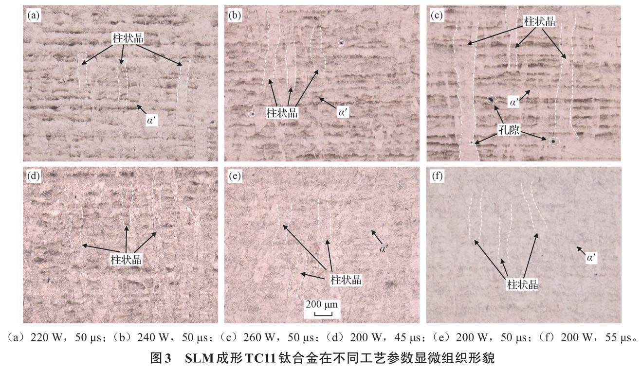 1728957749880611.jpg t3.jpg
