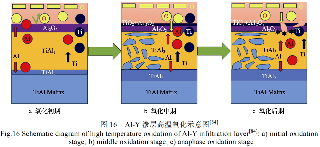 截圖20250331162420.png